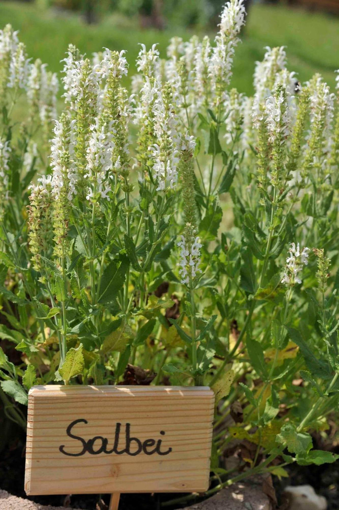 Bio-Bauernhof Reitmayrgut กอลด์เอก ภายนอก รูปภาพ
