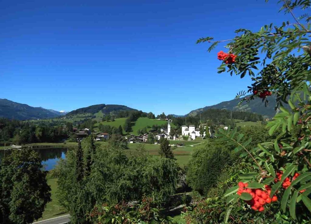 Bio-Bauernhof Reitmayrgut กอลด์เอก ภายนอก รูปภาพ